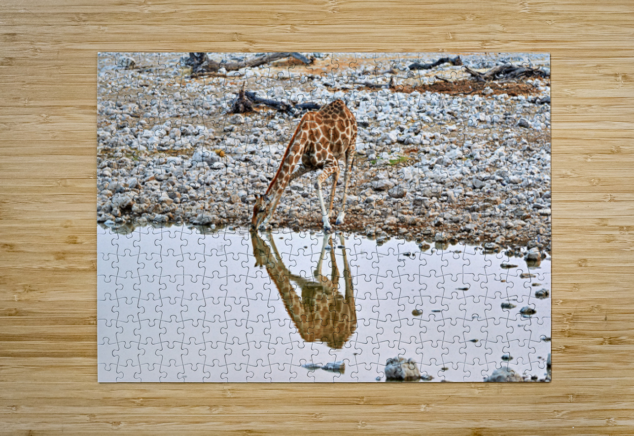 Giraffe drinks water at a waterhole in Etosha National Park Nam Marco Brivio Puzzle printing