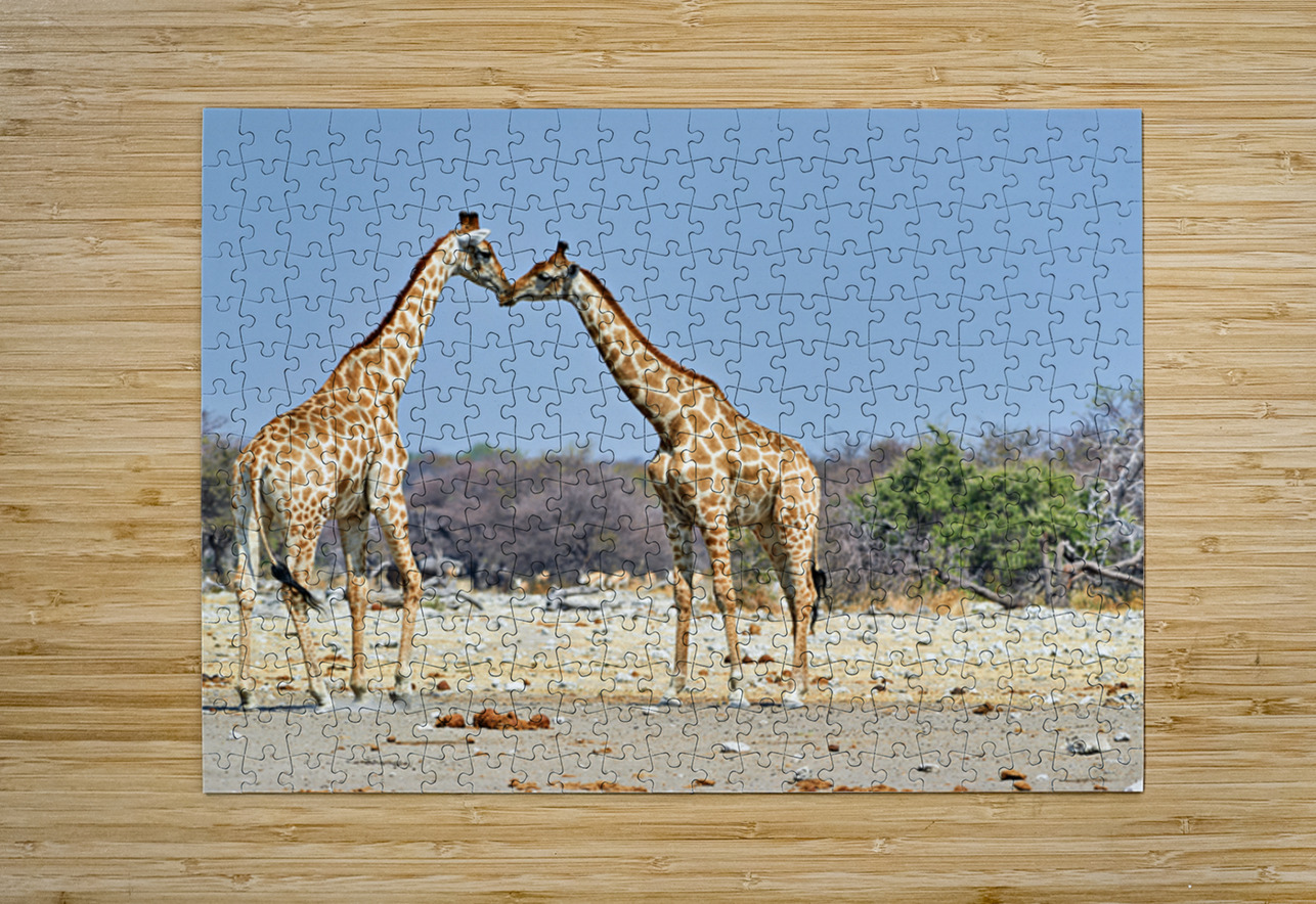 Giraffes cuddling in Etosha National Park in Namibia Marco Brivio Puzzle printing