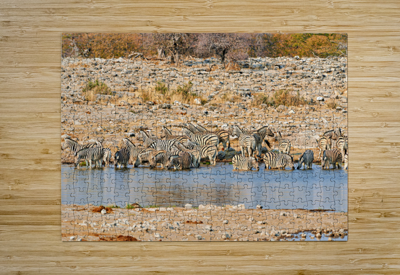 Zebras drink water at a waterhole in Etosha National Park Namibi Marco Brivio Puzzle printing