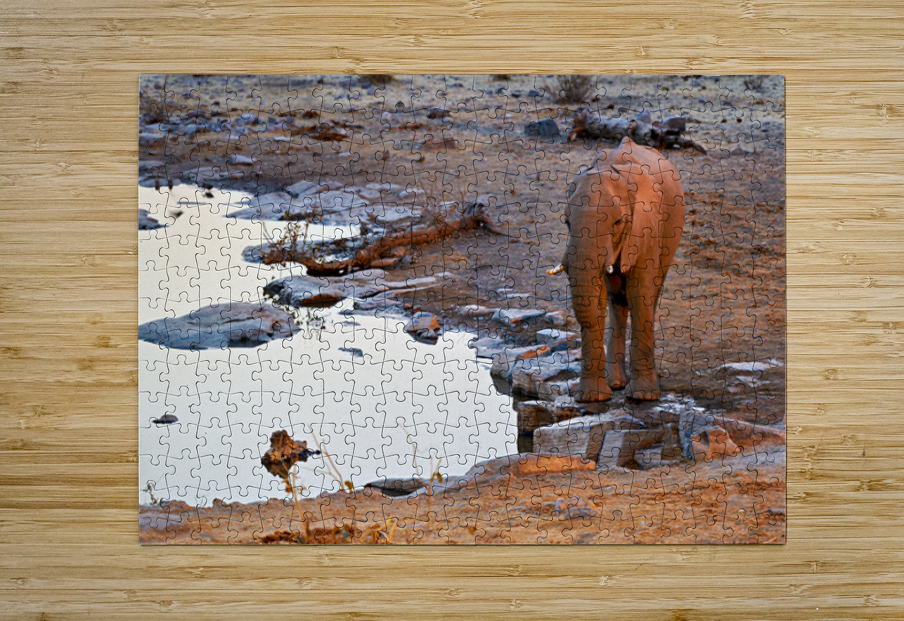 Elephant drinks at waterhole during sunset in Etosha National Pa Marco Brivio Puzzle printing