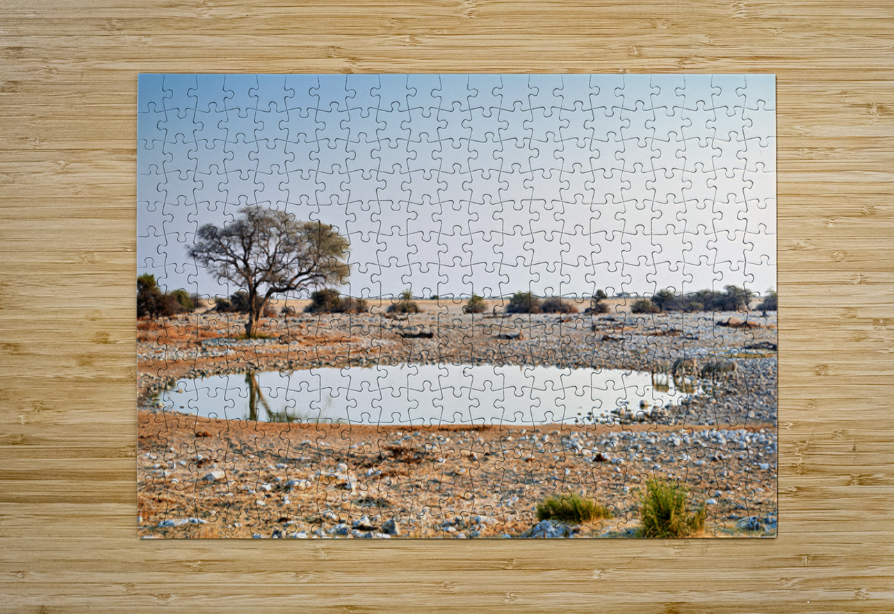 Zebras drink water at a waterhole in Etosha National Park Namibi Marco Brivio Puzzle printing