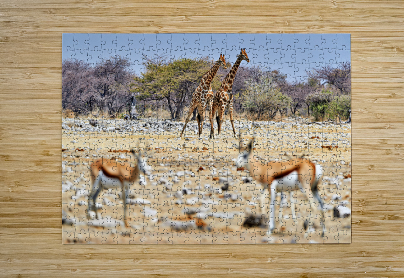 Giraffes and springboks in Etosha National Park Namibia Marco Brivio Puzzle printing