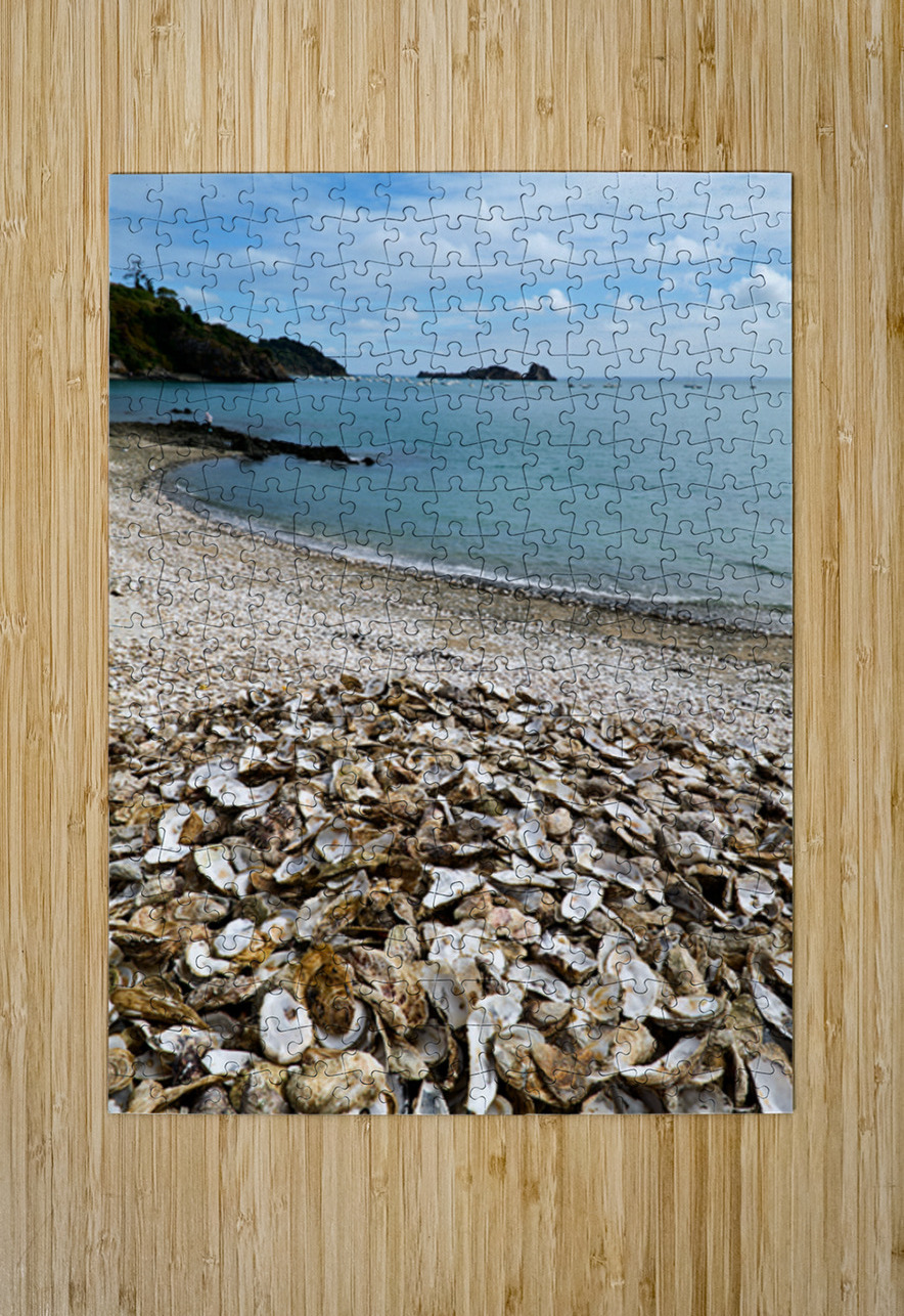 Oyster shells lay on the beach of Cancale Brittany France Marco Brivio Puzzle printing