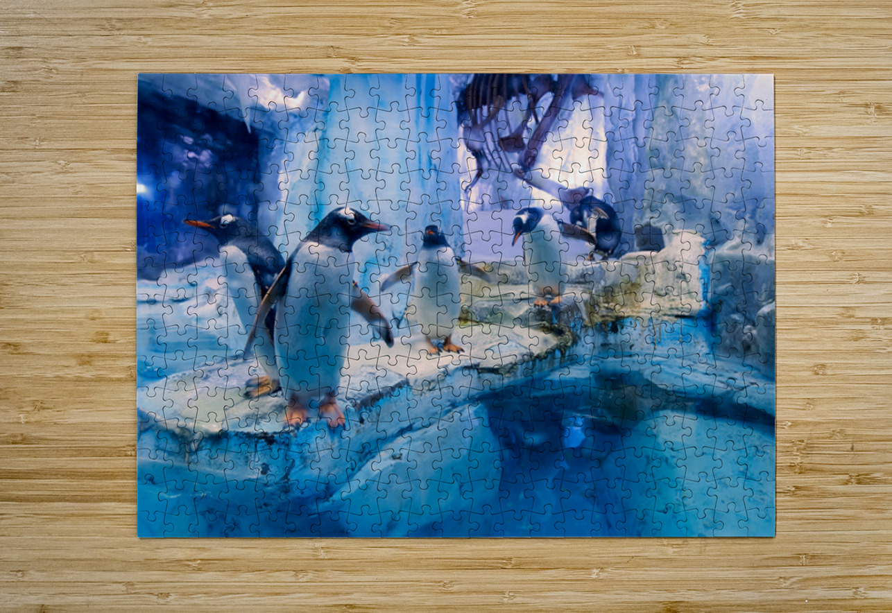 Penguins play on ice near water with a skeleton exhibit in Dubai Marco Brivio Puzzle printing