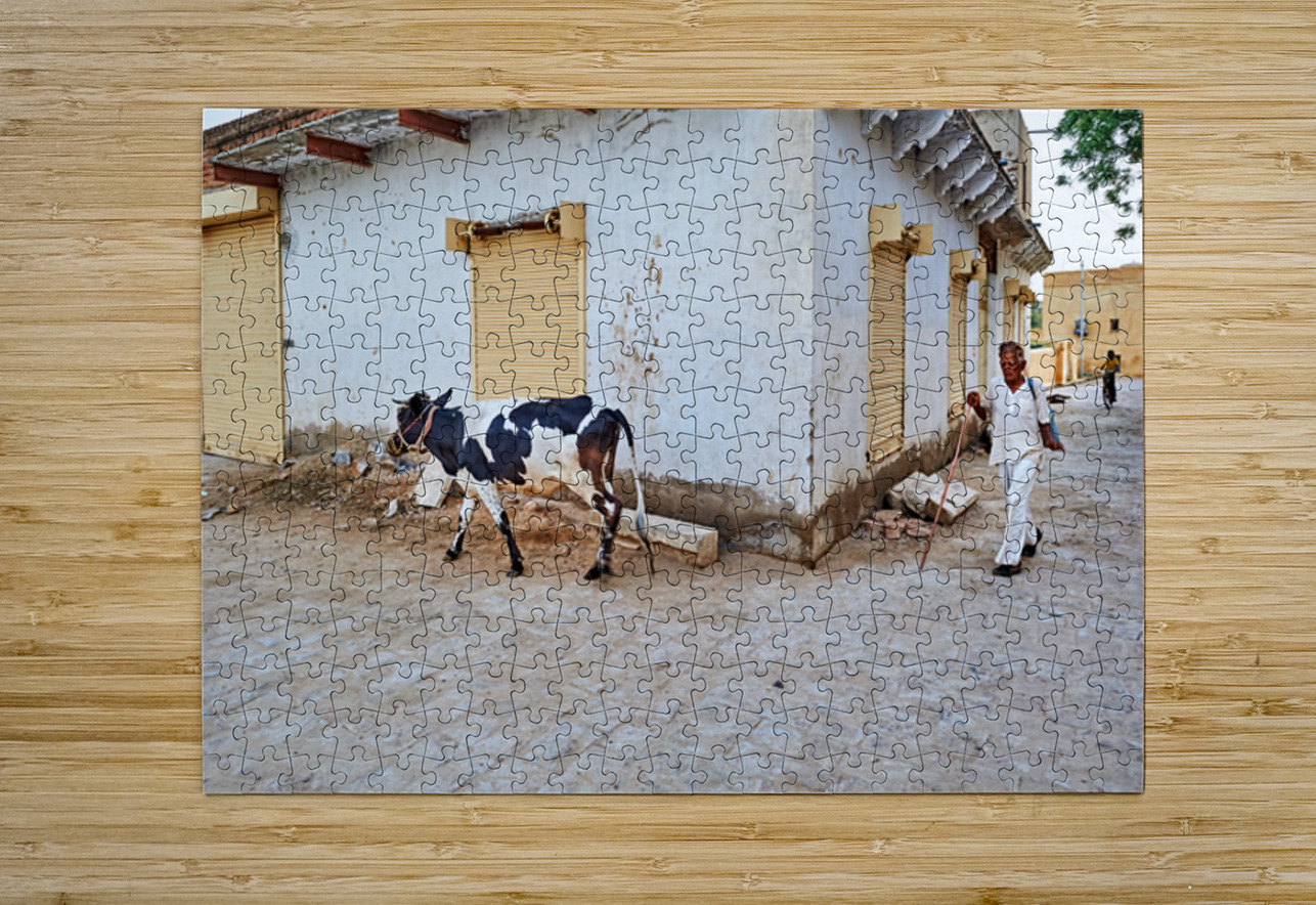 Man walking with cow in Mandawa streets Rajasthan India Marco Brivio Puzzle printing