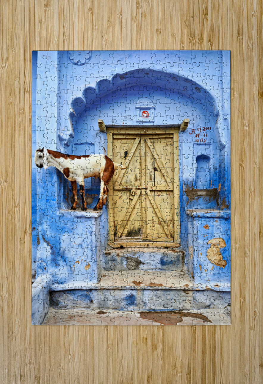 Goat standing on a wall by a wooden door in Bundi Rajasthan Marco Brivio Puzzle printing