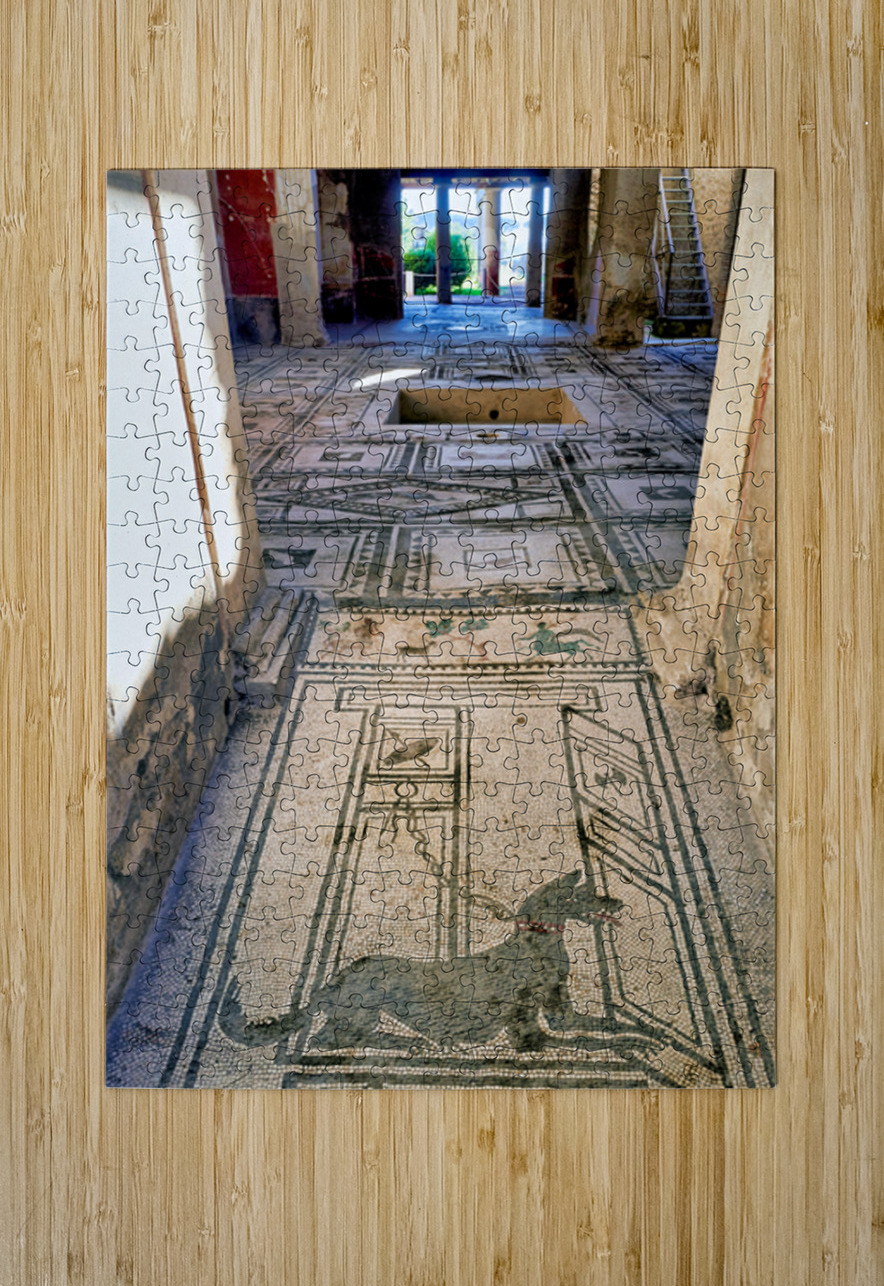 Mosaic floor in Pompeii reveals Roman art and ancient history Marco Brivio Puzzle printing