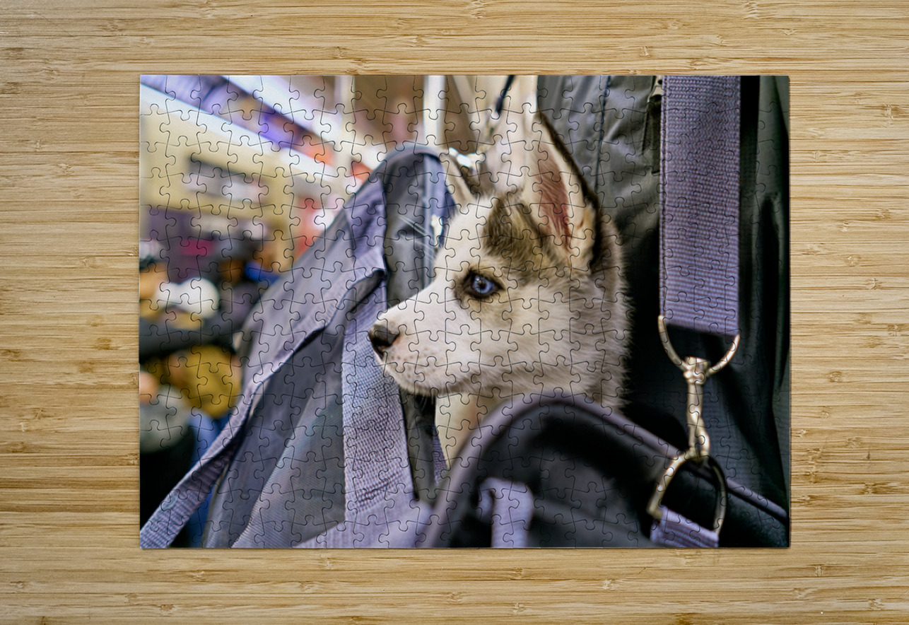 Dog riding in bag on subway in Manhattan New York City Marco Brivio Puzzle printing