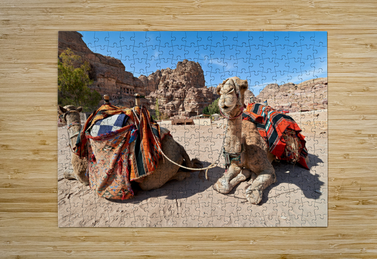 Tourists ride camels at Petra archaeological site in Jordan Marco Brivio Puzzle printing