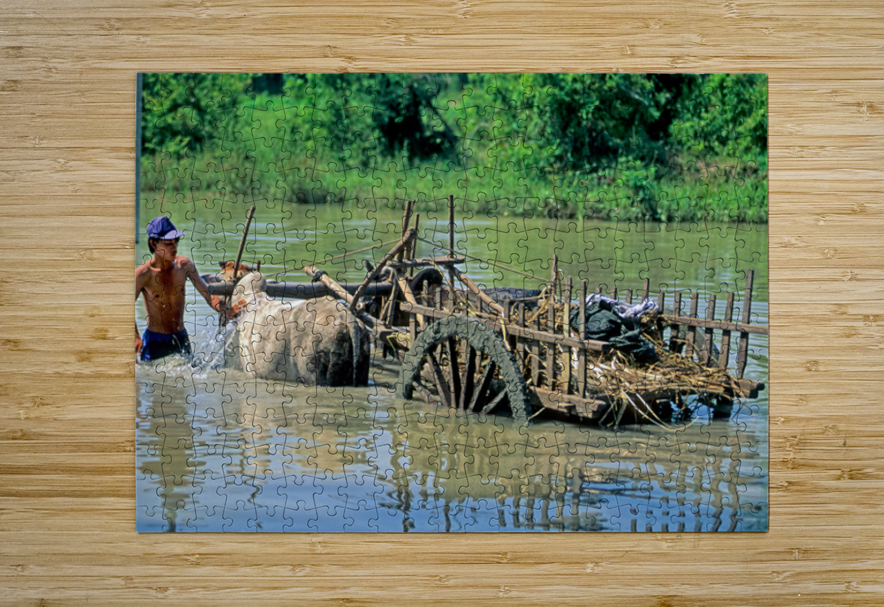 Washing cows in a river in the countryside of Myanmar Marco Brivio Puzzle printing