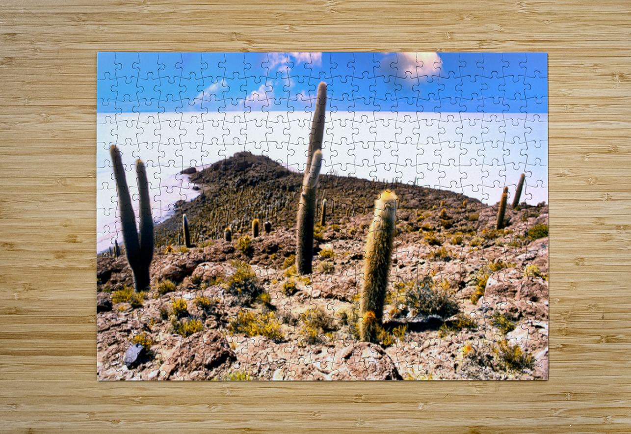 Cactus island in a vast white salt flat under blue sky. Marco Brivio Puzzle printing