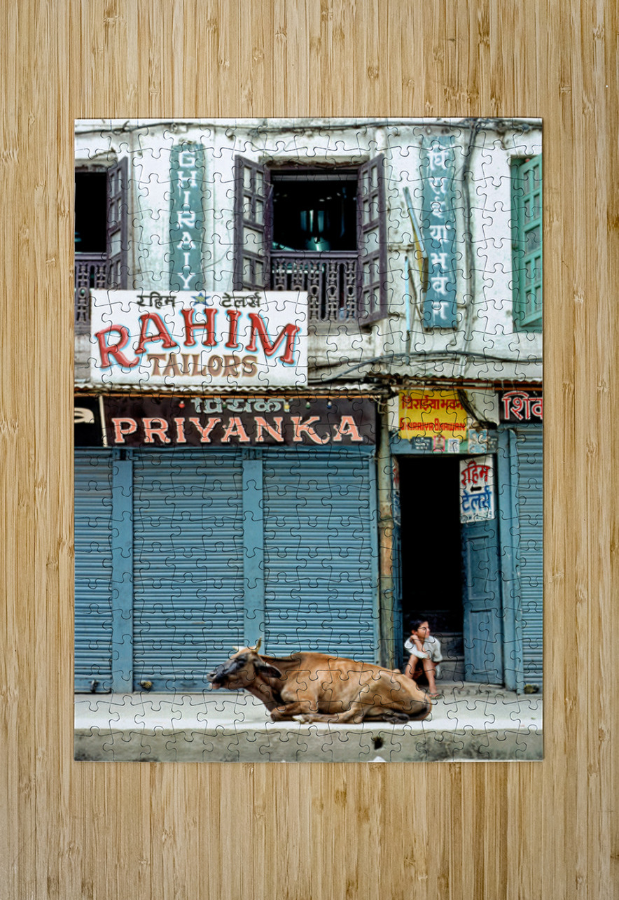 Holy cow resting on the street in Kathmandu Nepal Marco Brivio Puzzle printing