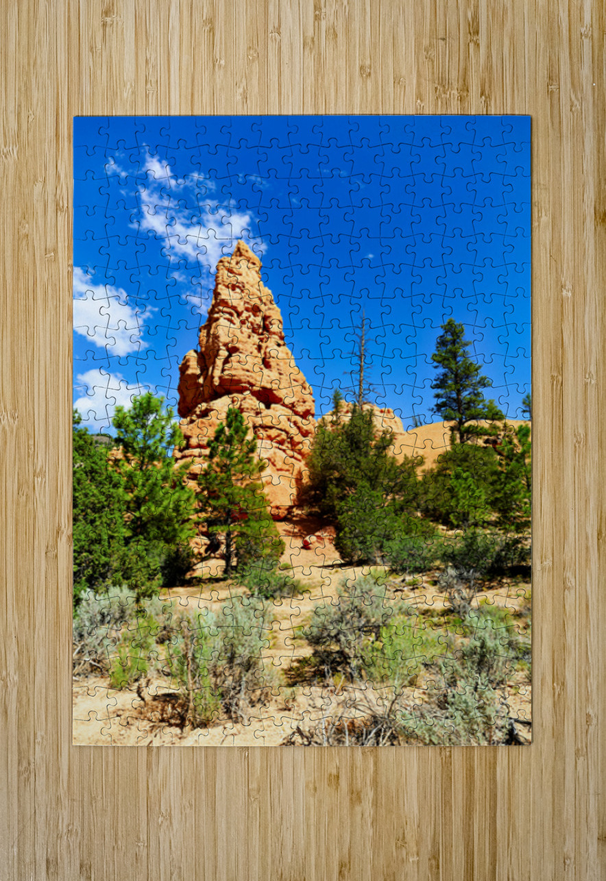 Visit to Dixie National Forest during a sunny afternoon Marco Brivio Puzzle printing