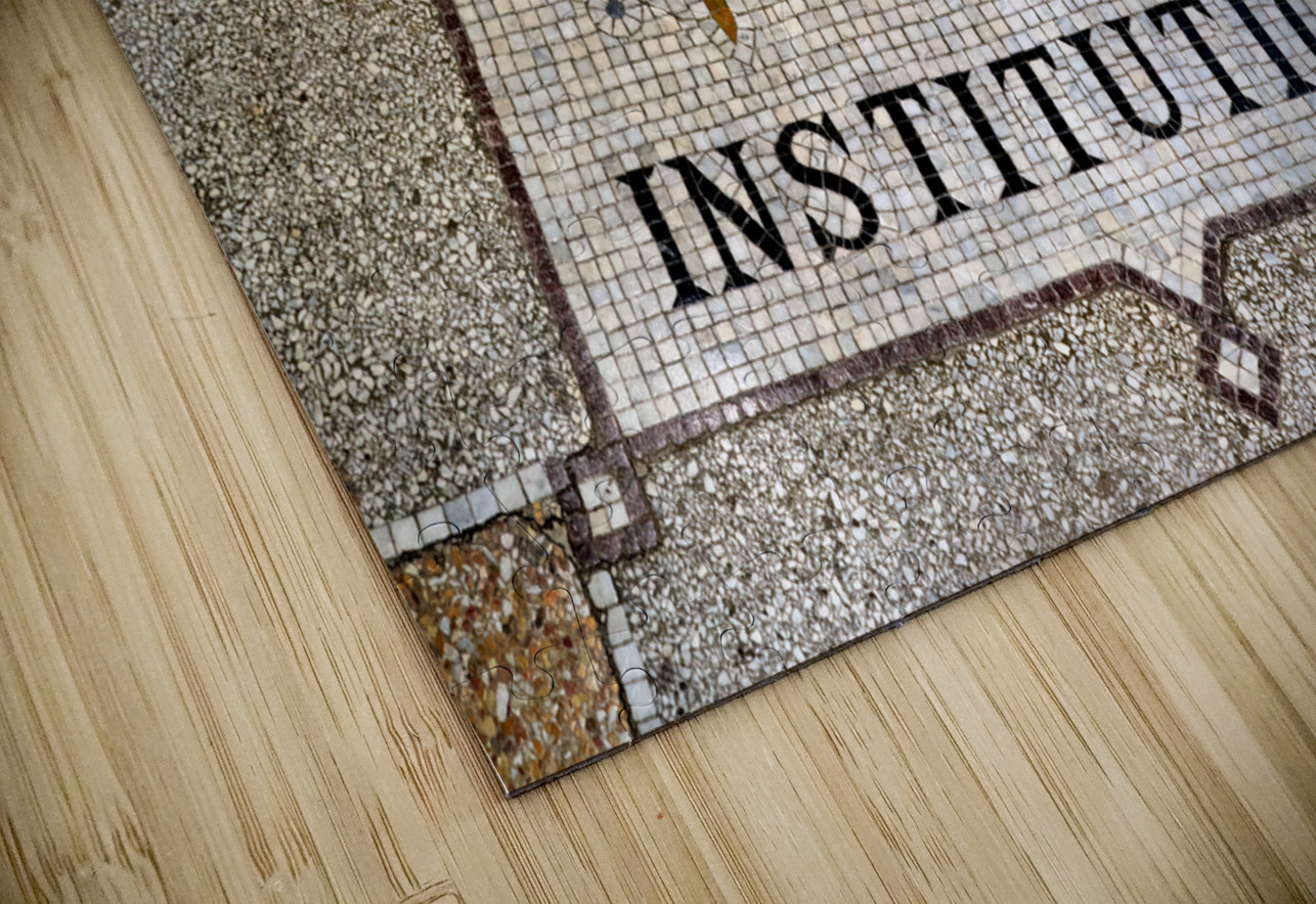 The Smithsonian Institution. Washington D.C. Marco Brivio Puzzle