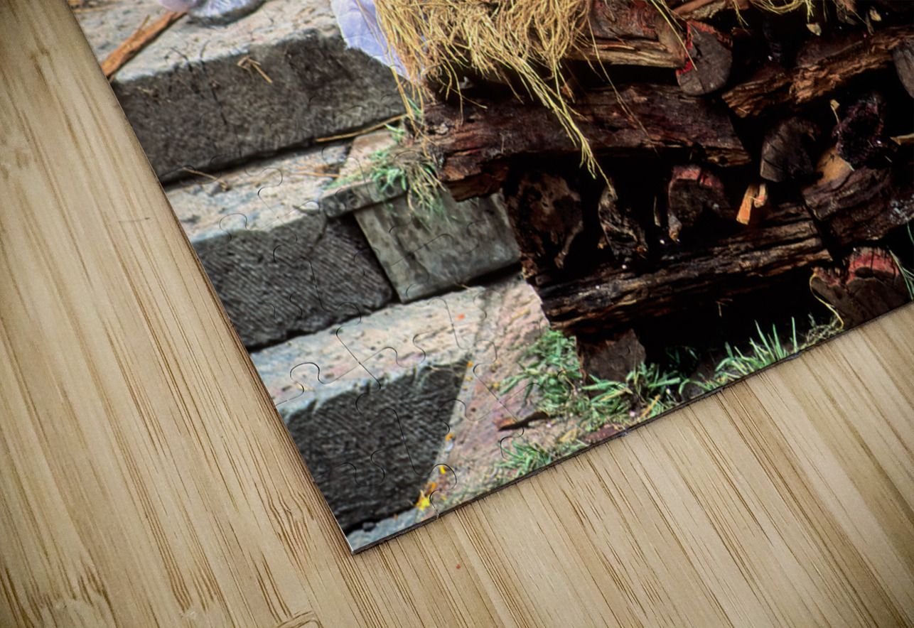 Nepal. Kathmandu. Cremation in Pashupatinath Marco Brivio Puzzle
