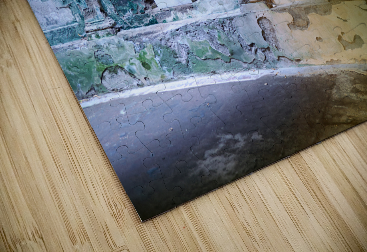 Caserta Campania Italy. The Royal Palace. The Cryptoporticus at the Bath of Venus Marco Brivio Puzzle