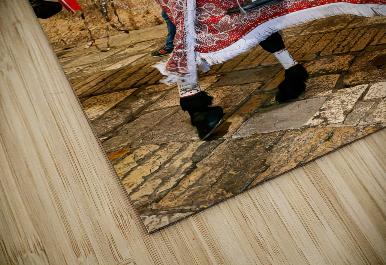 Apulia Puglia Italy. Ostuni. Festival of Saint Orontius. The cavalcata a procession of horses in the streets of the town Marco Brivio Puzzle