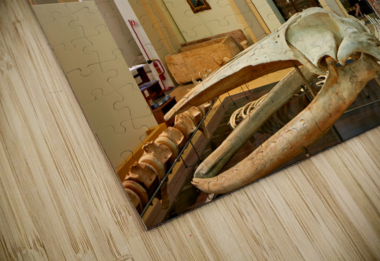 Salento. Apulia Puglia Italy. Gallipoli. Civic Museum Emanuele Barba Marco Brivio Puzzle