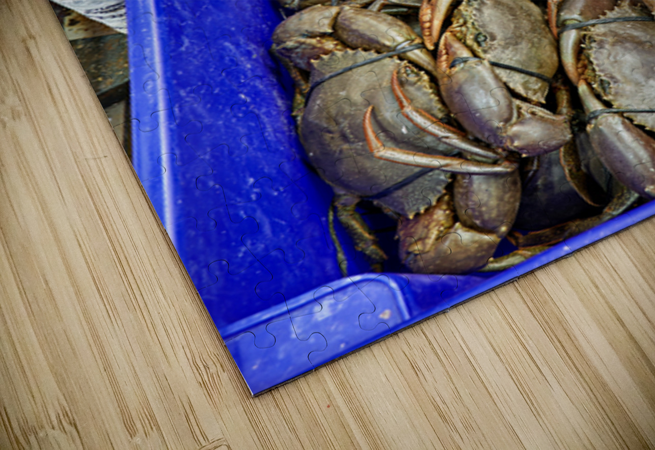 Large Mud Crabs for sale at $76.99 per kg. Marco Brivio Puzzle