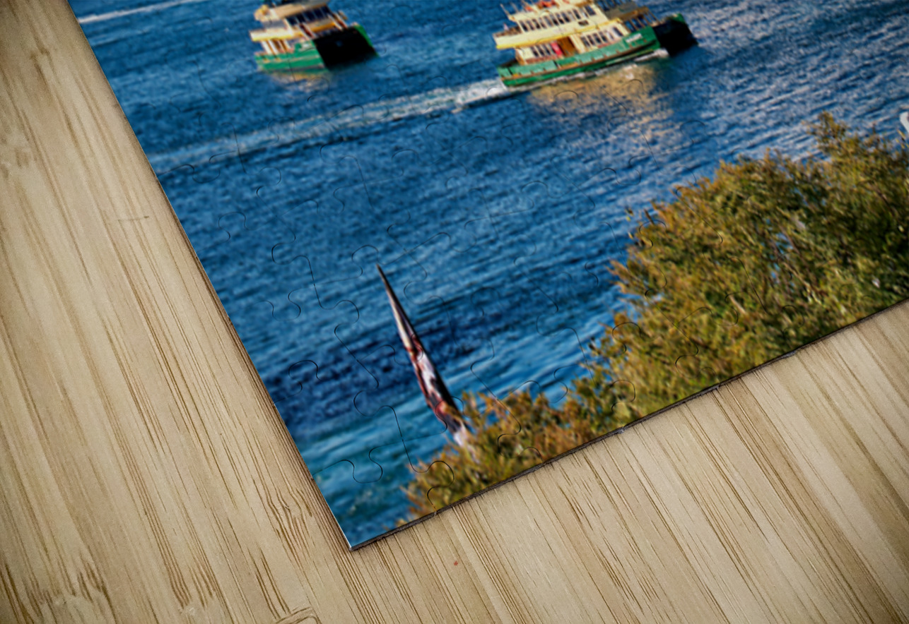 Sydney Opera House and ferries on a sunny day. Marco Brivio Puzzle