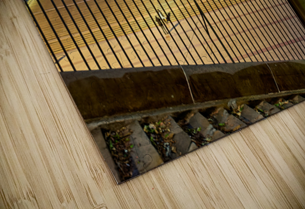 Sydney Opera House illuminated at dusk with crowds on steps. Marco Brivio Puzzle