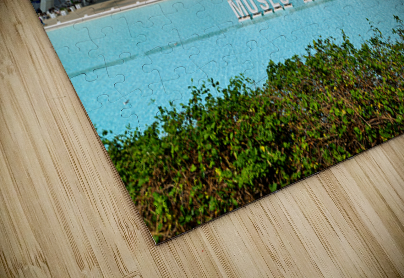 Visit Museu de les Sciences Principe Felipe in Valencia Spain Marco Brivio Puzzle