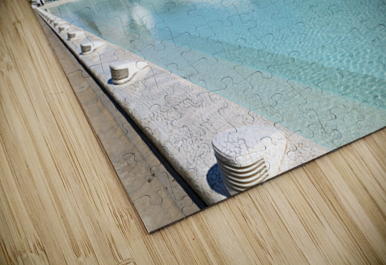 Visit to Museu de les Ciencies Principe Felipe in Valencia Spain Marco Brivio Puzzle