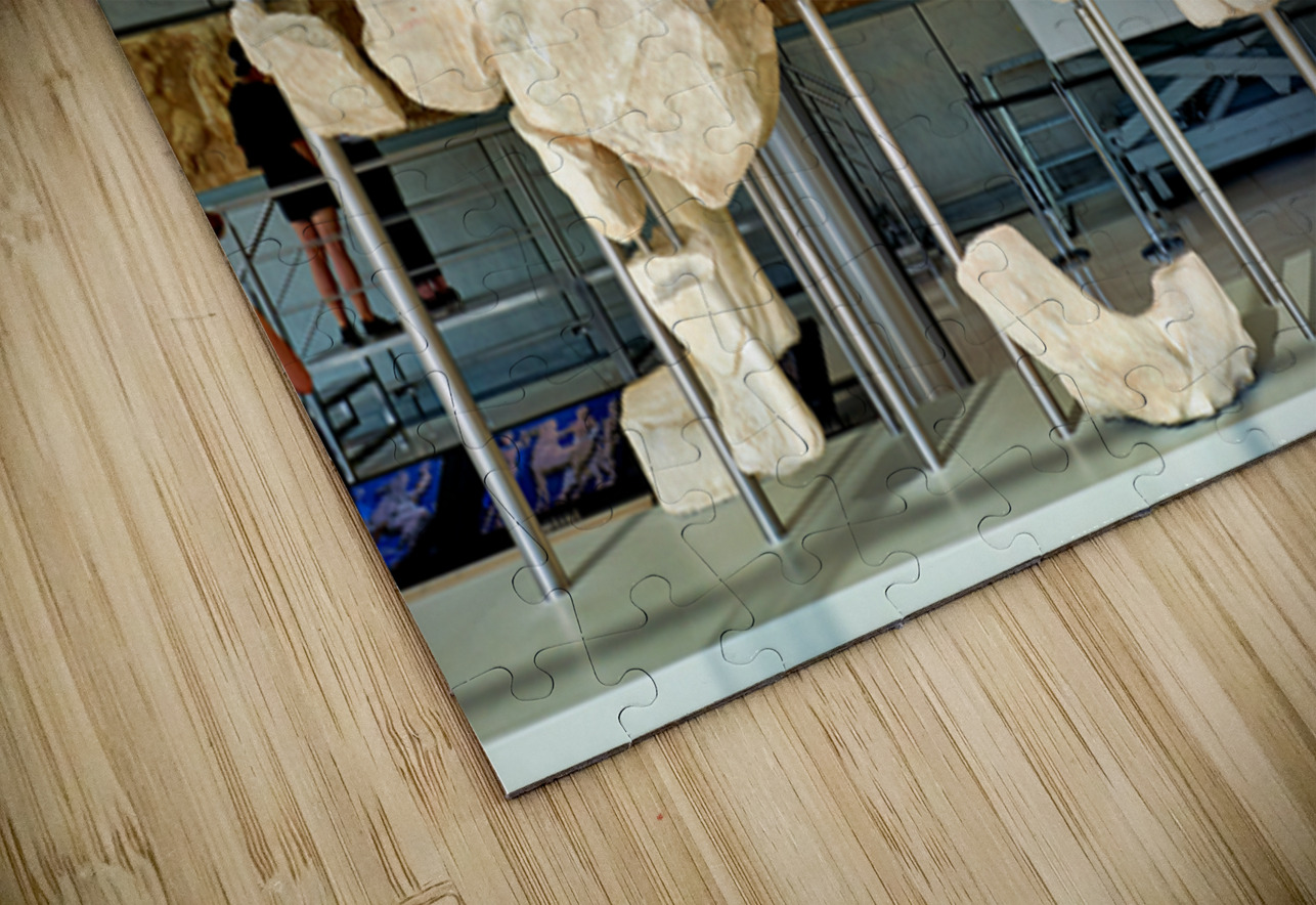 Sculptures at the acropolis museum in athens greece Marco Brivio Puzzle
