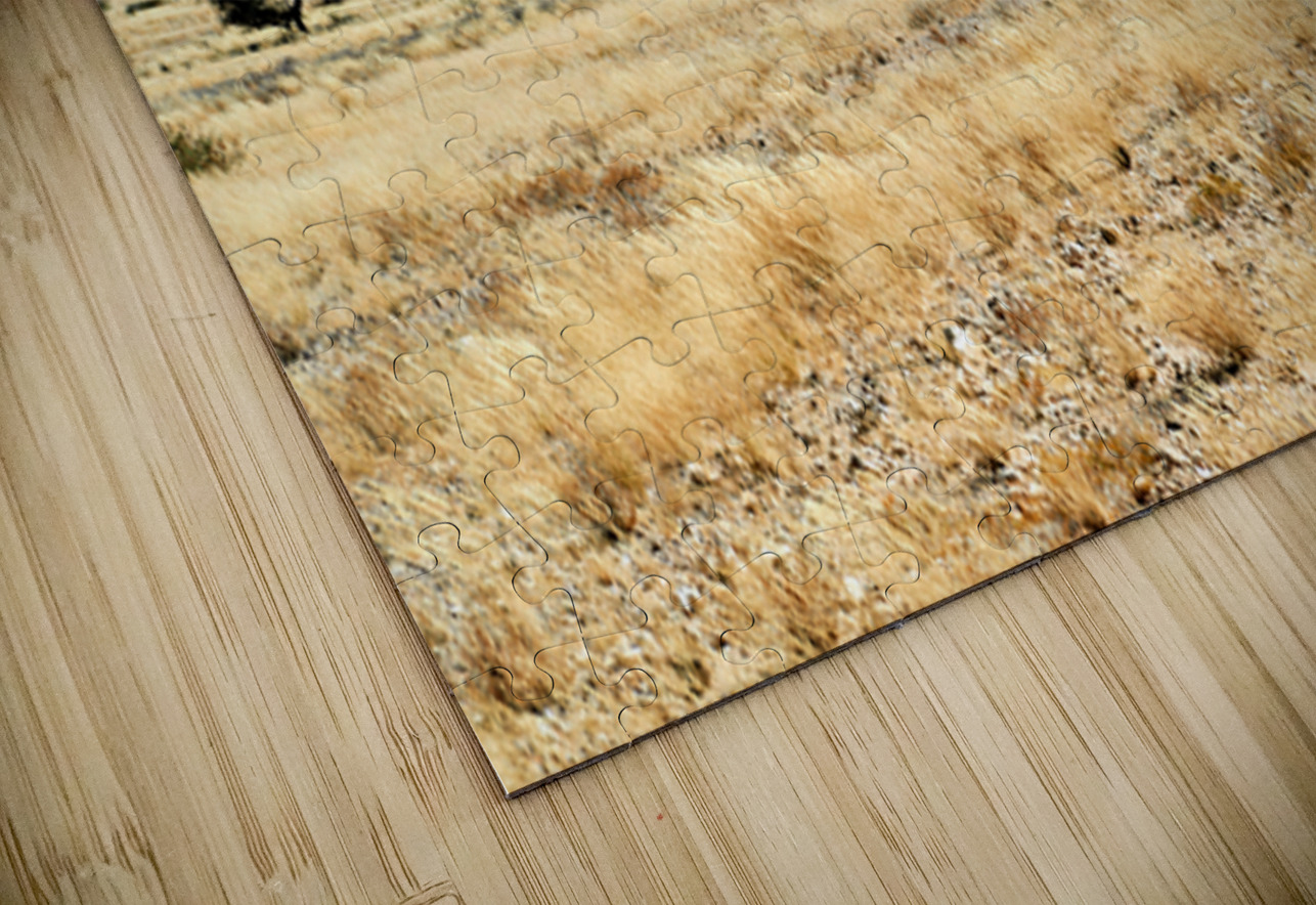 Granite peaks of Spizkoppe rise above the Namib Desert in Namibi Marco Brivio Puzzle