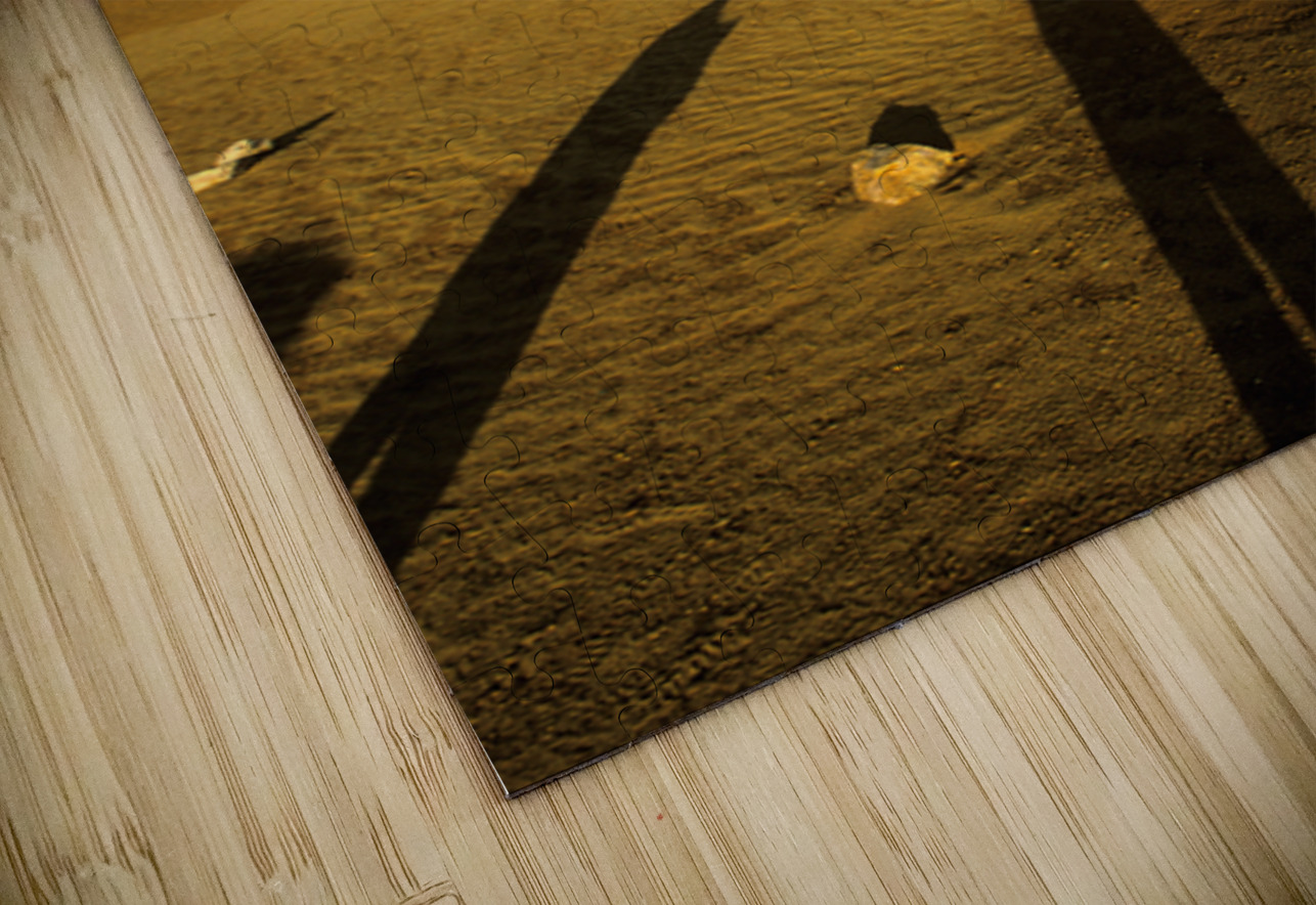Photographers shadow falls on the Pinnacles desert at sunset. Marco Brivio Puzzle