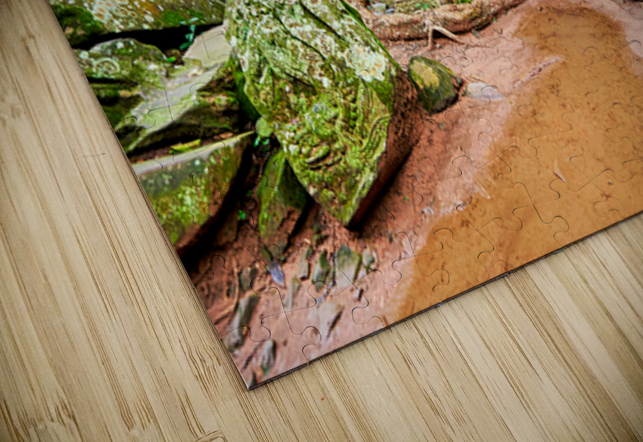 Ancient temple ruins overgrown by trees and moss. Marco Brivio Puzzle