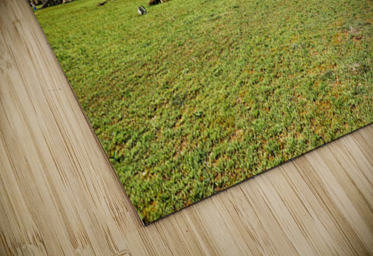 Angkor Wat temple complex with green grass and blue sky. Marco Brivio Puzzle
