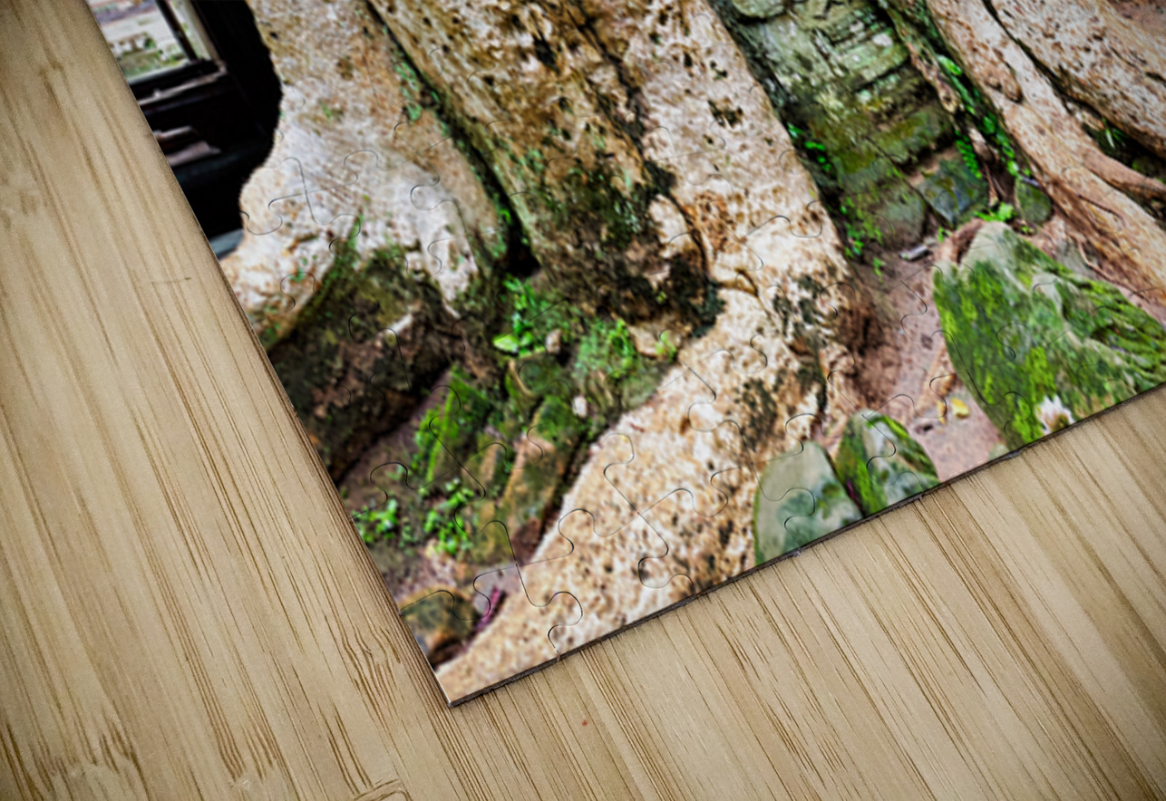Giant tree roots engulf ancient temple ruins. Marco Brivio Puzzle