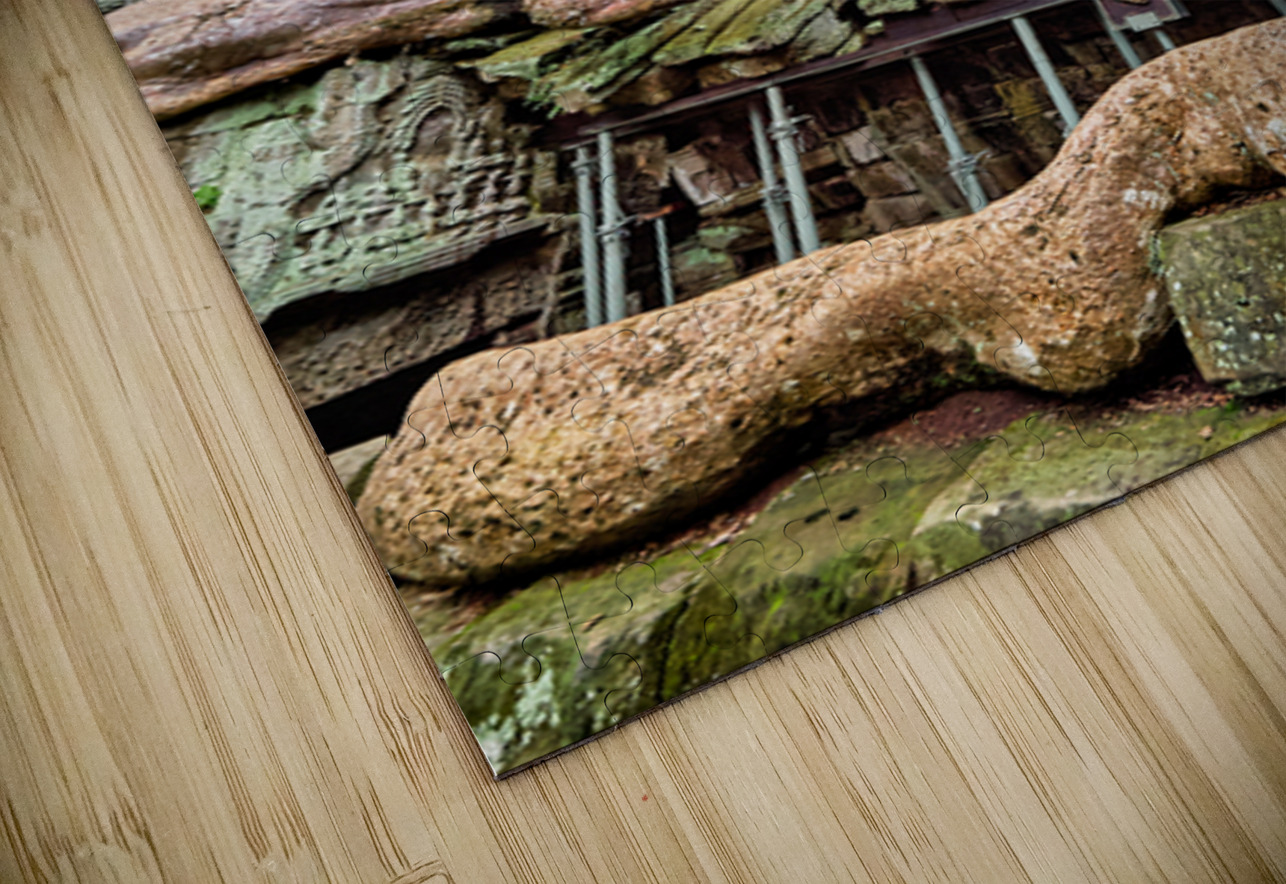 Giant tree roots engulf ancient temple ruins. Marco Brivio Puzzle