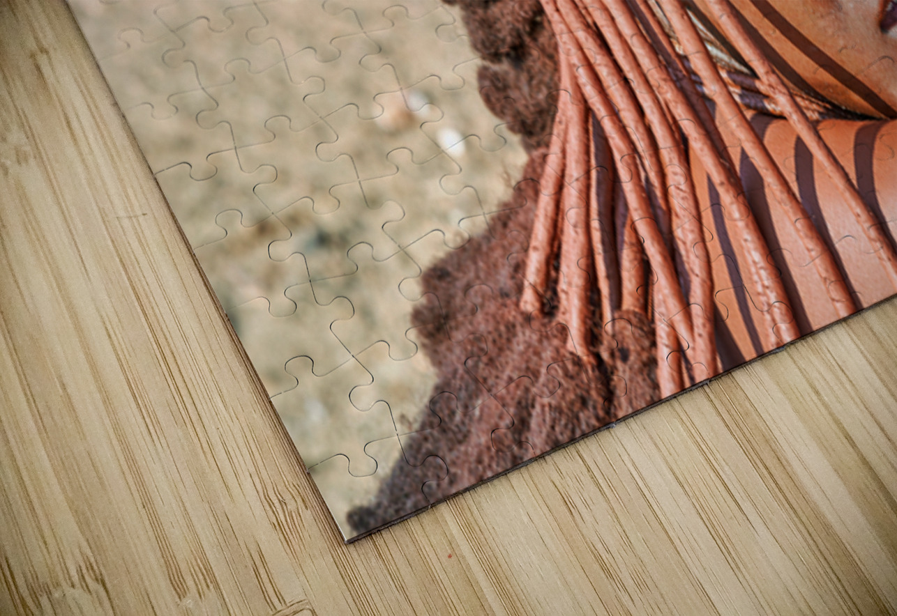Traditional hair headdress worn by woman in Himba village in Nam Marco Brivio Puzzle