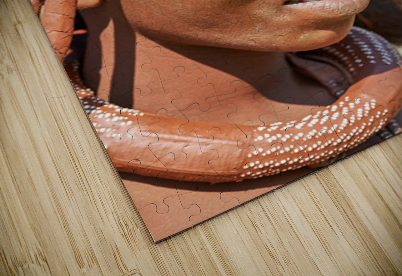 Portrait of a Himba woman in Kunene region of Namibia during the Marco Brivio Puzzle