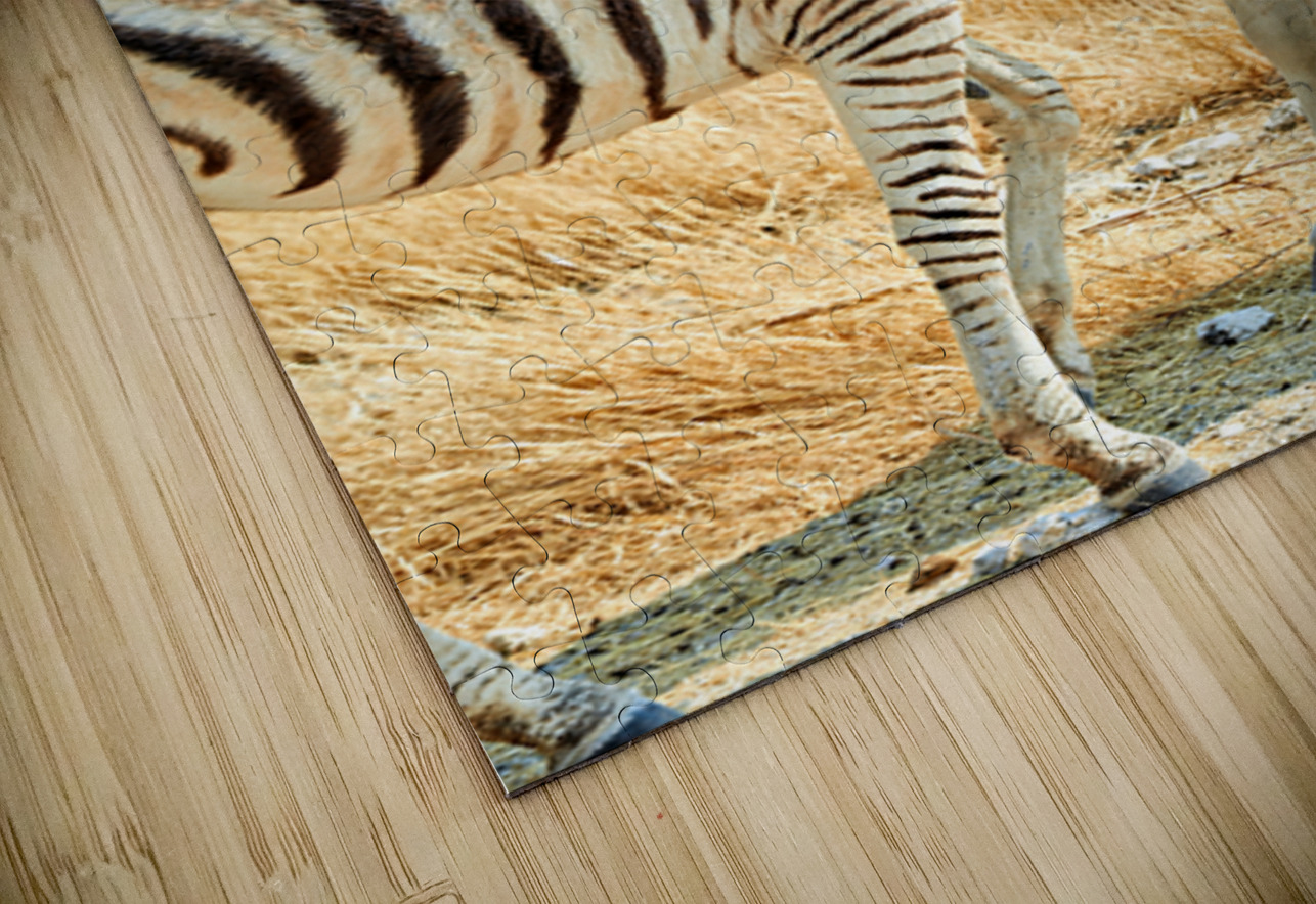 Zebras cuddle together in Etosha National Park in Namibia Marco Brivio Puzzle