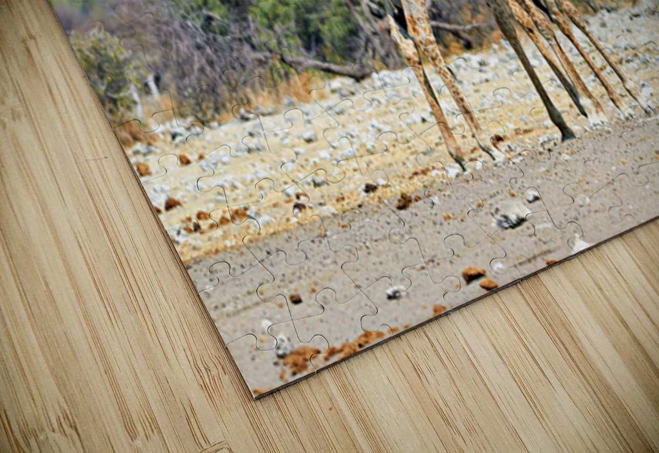 Giraffes walking together in Etosha National Park Namibia Marco Brivio Puzzle