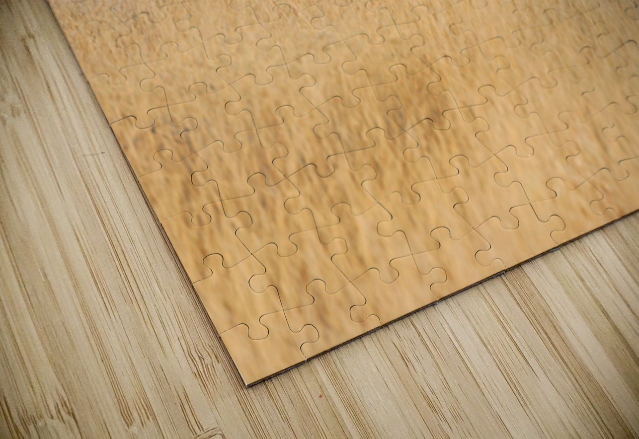 Springbok gazelle antelope walking in Etosha National Park Namib Marco Brivio Puzzle