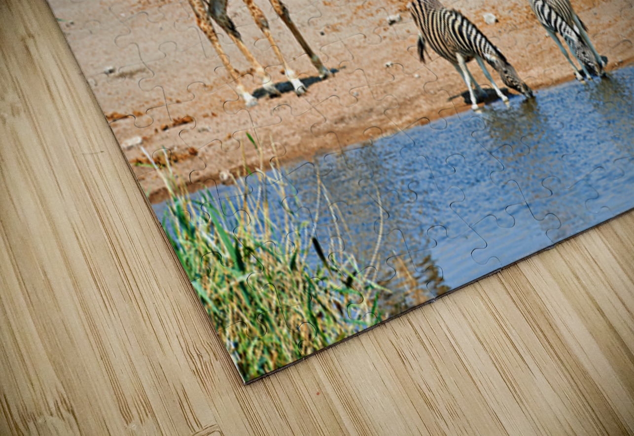 Giraffe and zebras drink water together at a waterhole in Namibi Marco Brivio Puzzle