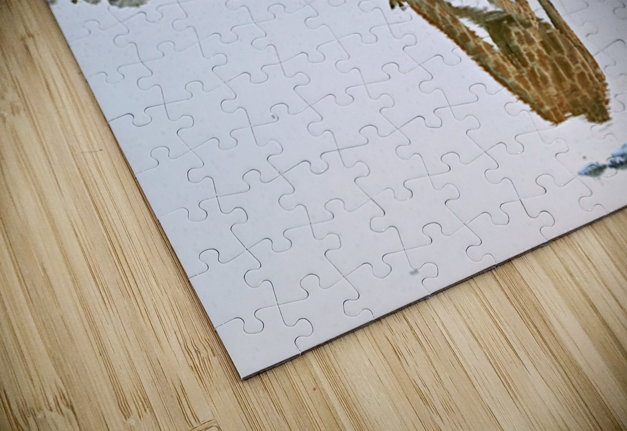 Giraffe drinks water at a waterhole in Etosha National Park Nam Marco Brivio Puzzle