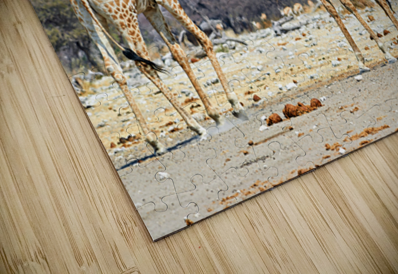 Giraffes cuddling in Etosha National Park in Namibia Marco Brivio Puzzle