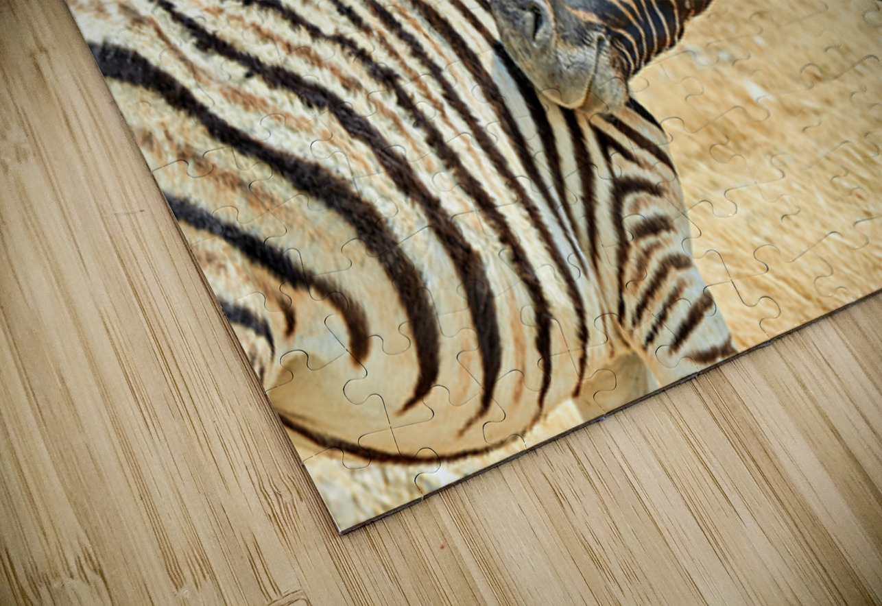 Zebras cuddle in Etosha National Park in Namibia during daylight Marco Brivio Puzzle
