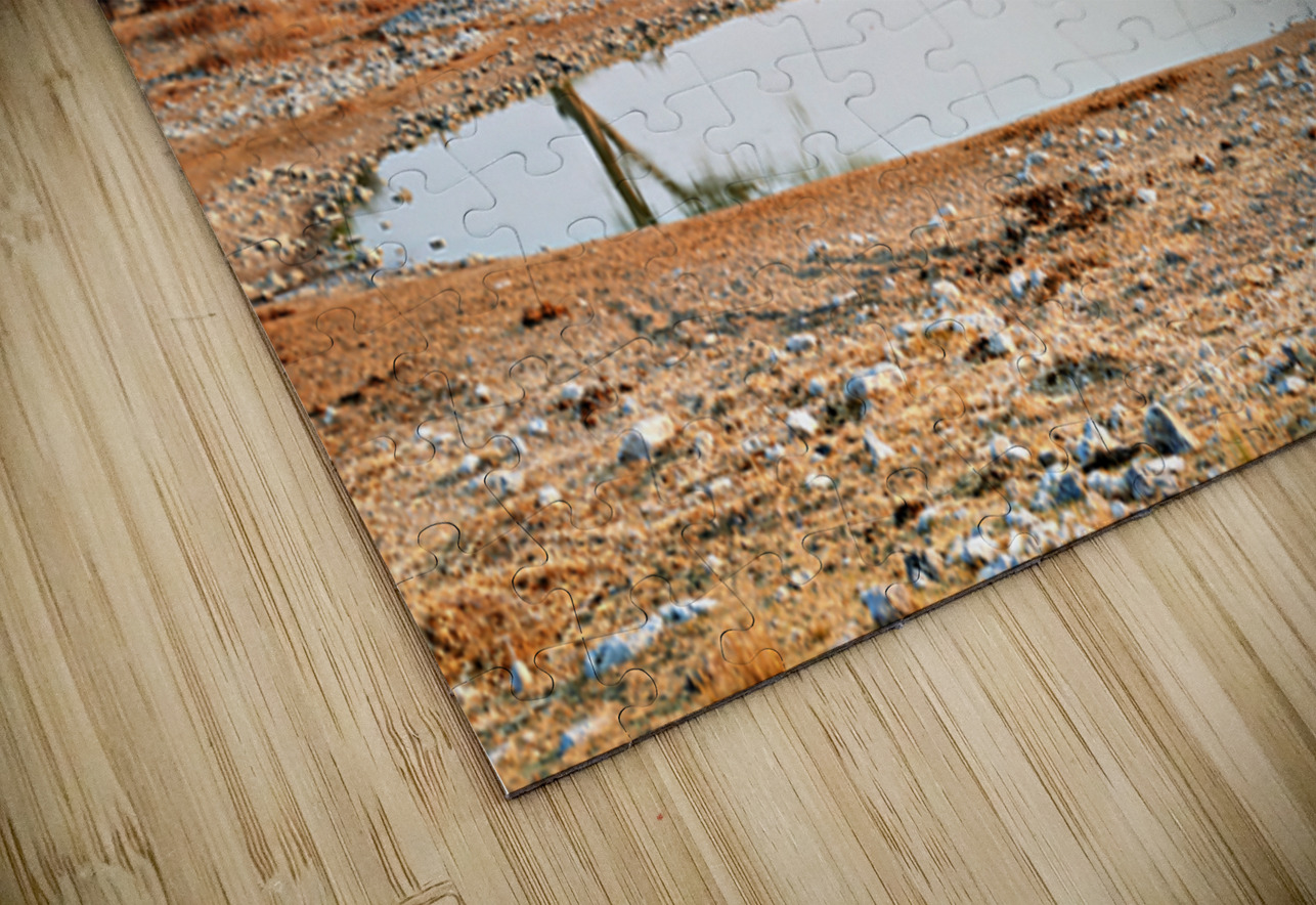 Zebras drink water at a waterhole in Etosha National Park Namibi Marco Brivio Puzzle