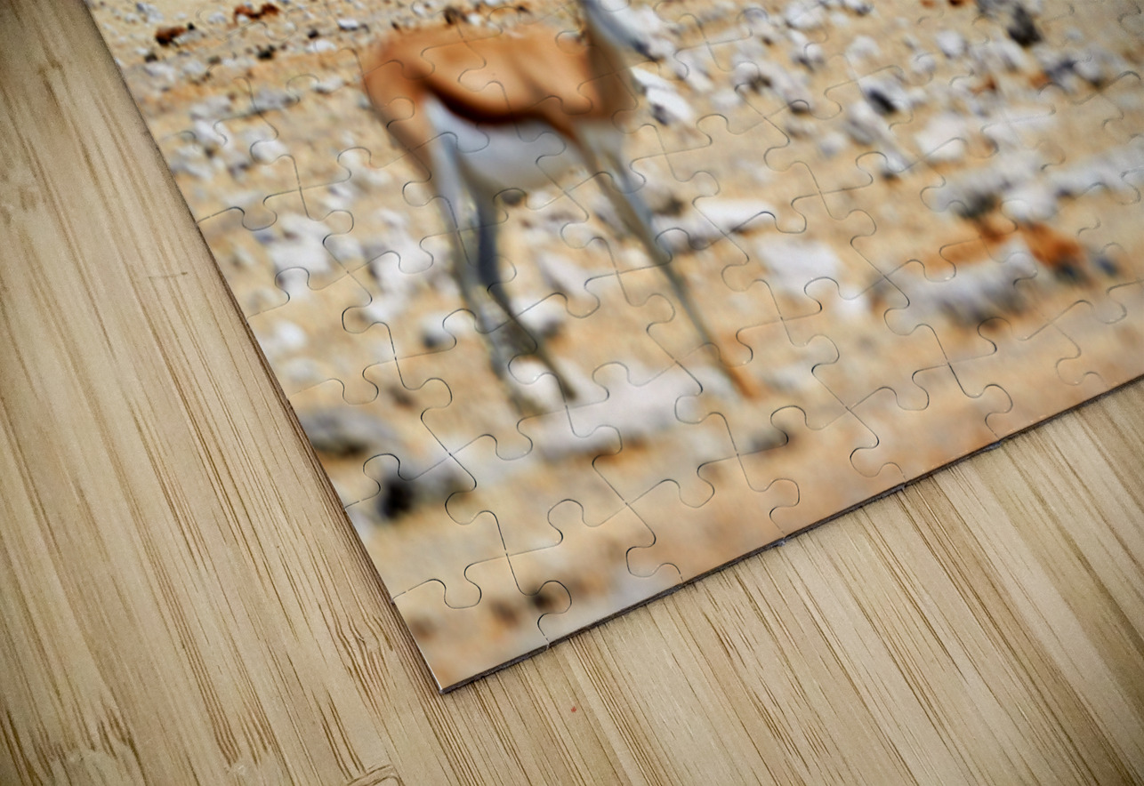 Giraffes and springboks in Etosha National Park Namibia Marco Brivio Puzzle