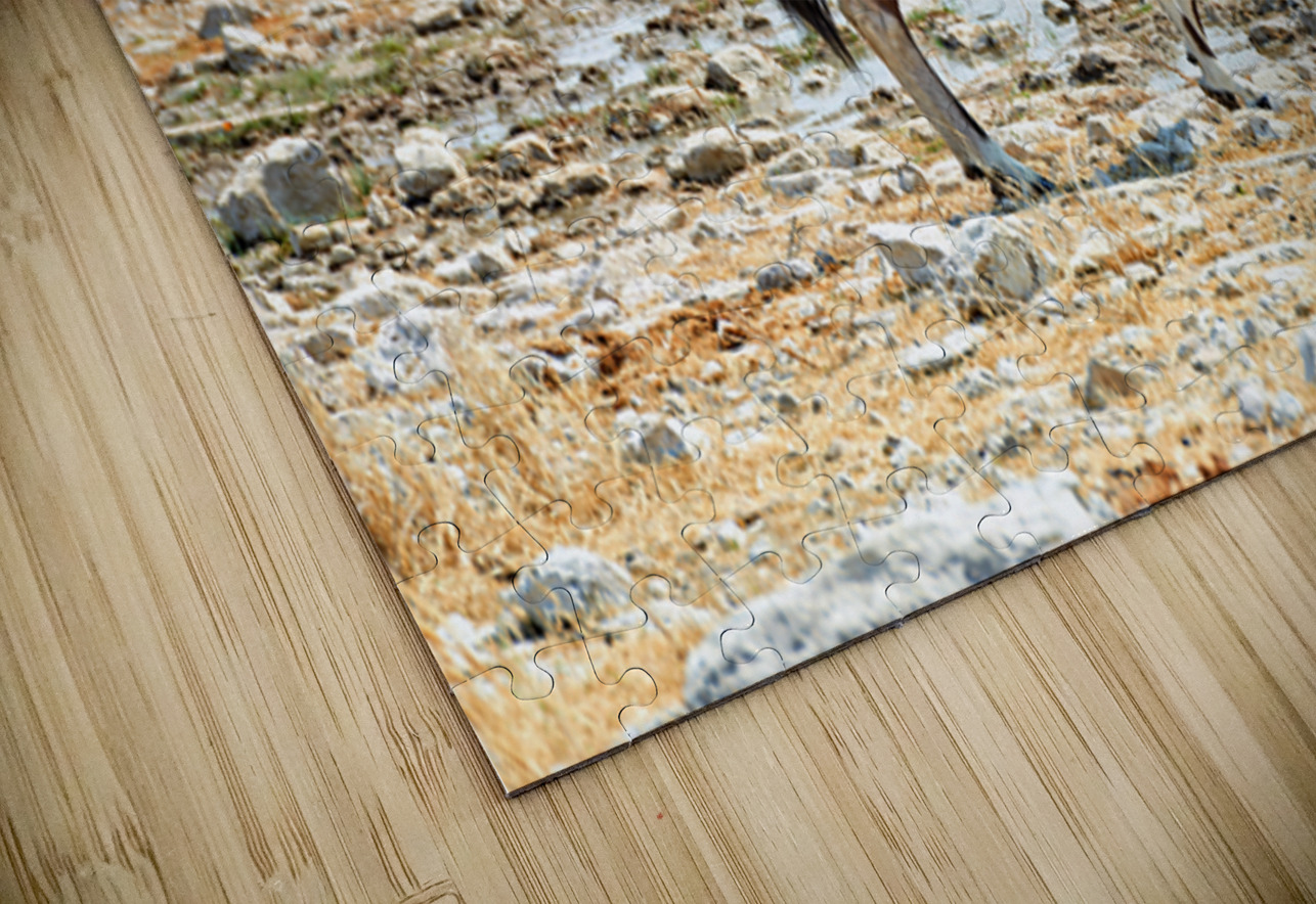 Gemsbok oryx drinking near water in Etosha National Park Namibi Marco Brivio Puzzle