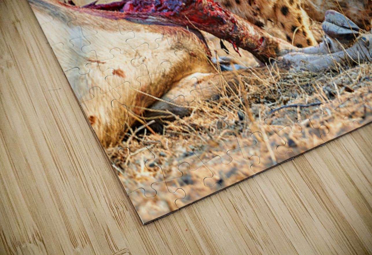 Cheetah feeding on prey in Okonjima Reserve Namibia Marco Brivio Puzzle