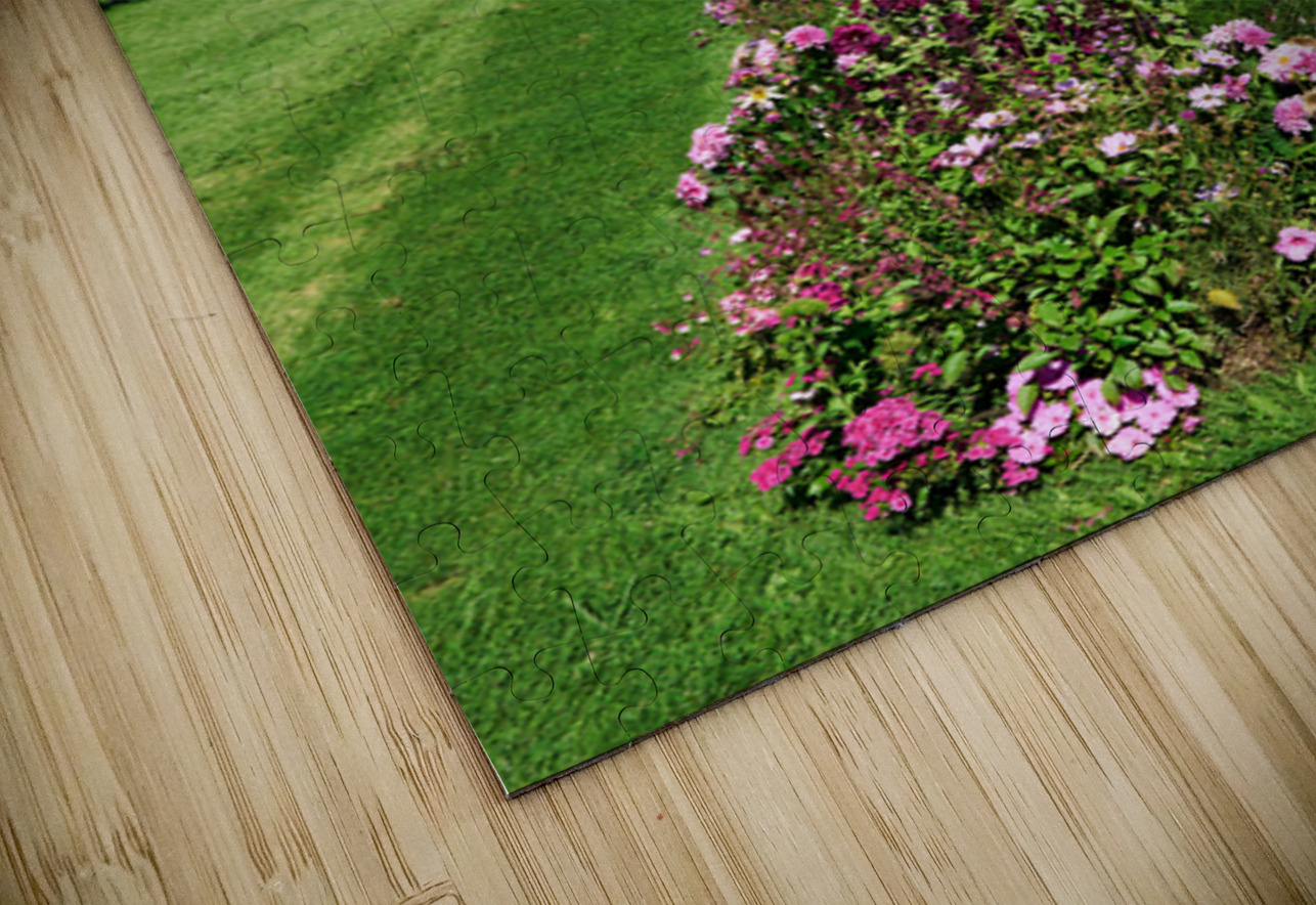 Explore the beauty of Chateau de Chaumont sur Loire in Chaumont  Marco Brivio Puzzle