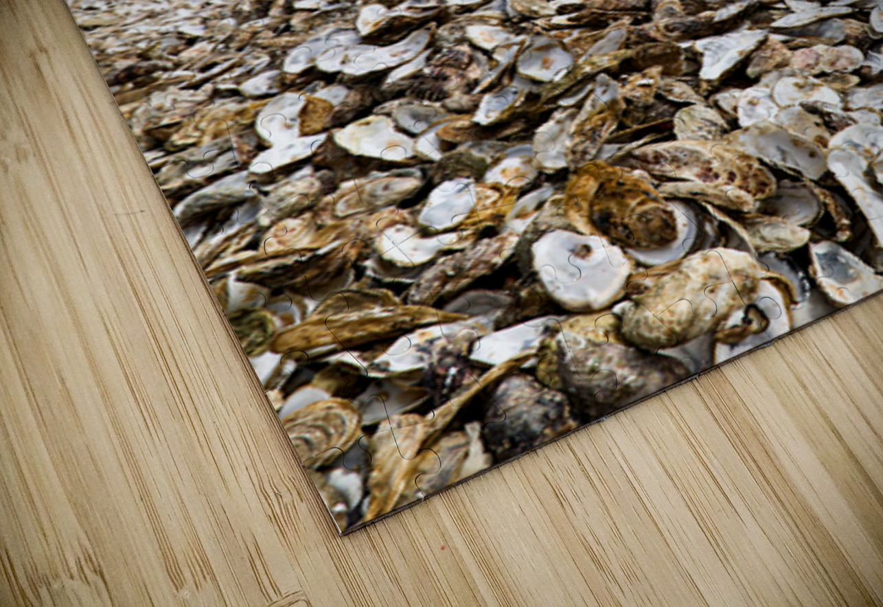 Oyster shells lay on the beach of Cancale Brittany France Marco Brivio Puzzle