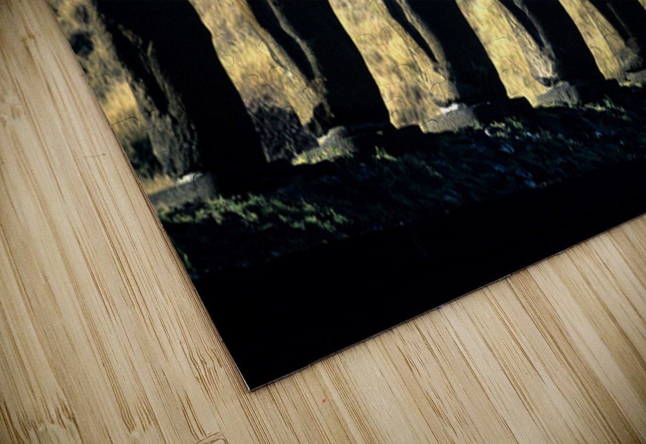 Easter Island Moai statues with red hats on a hillside. Marco Brivio Puzzle